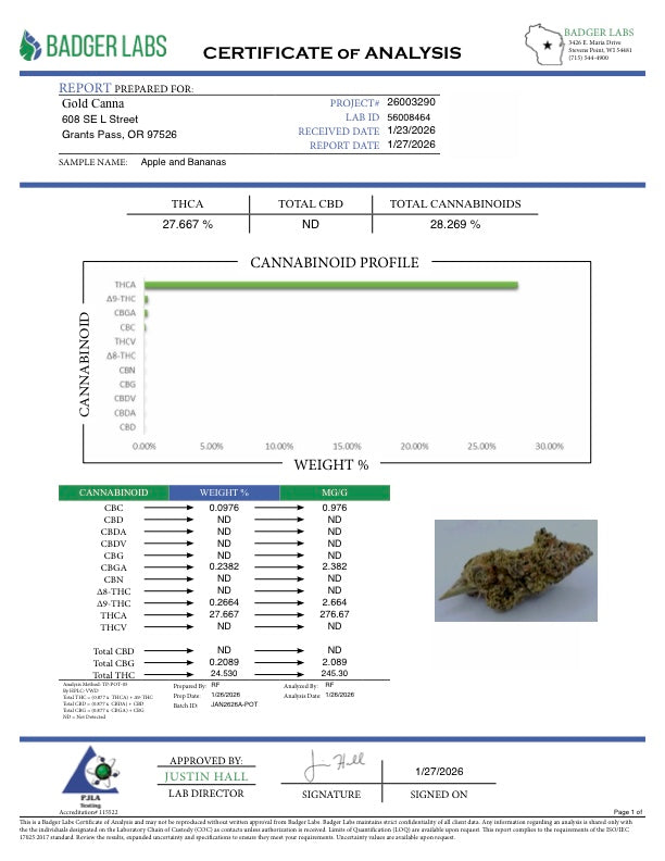 THCA Flower: Apples and Bananas | Greenhouse Gold Nuggets