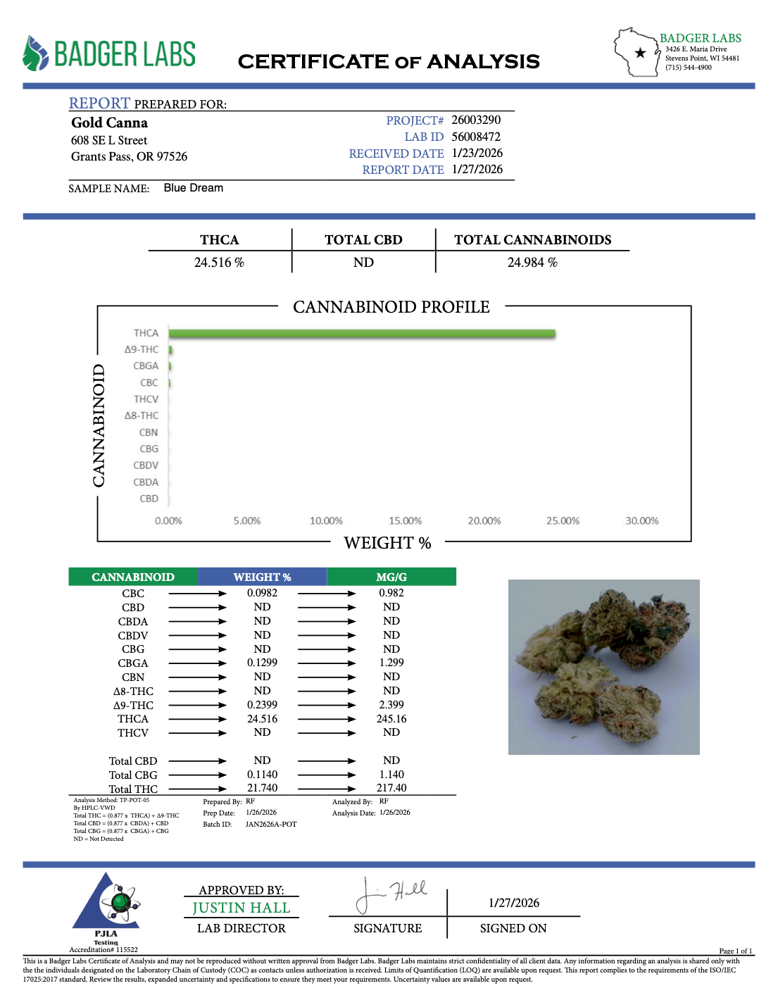THCA Flower: Blue Dream | Sungrown Gold Nuggets