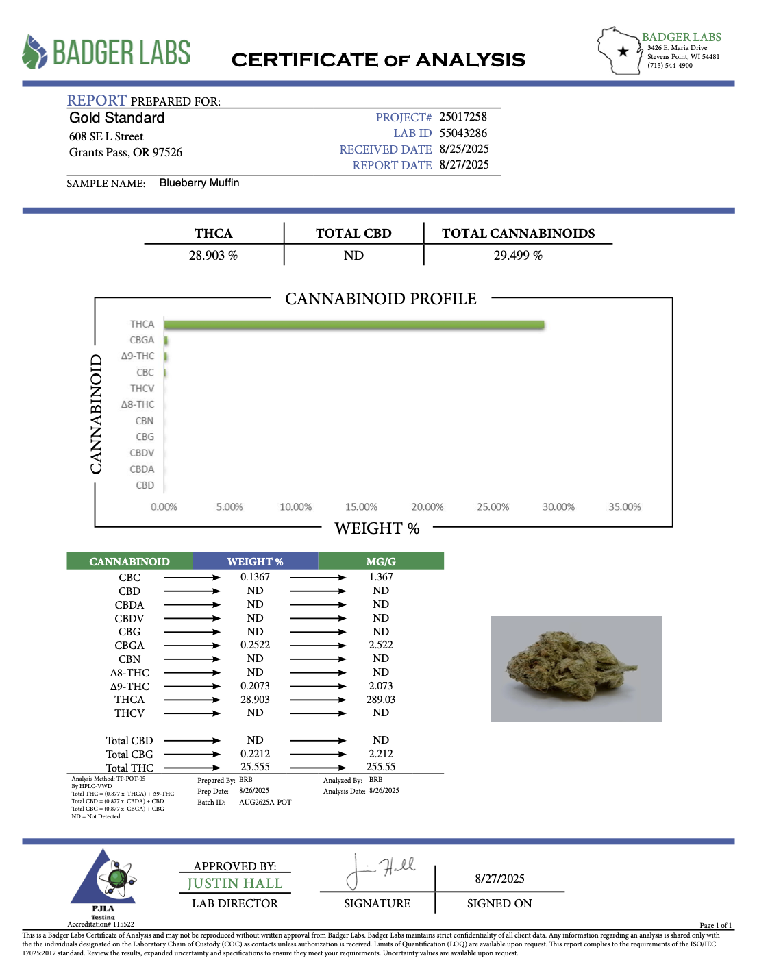 THCA Flower: Blueberry Muffin | Indoor Top Cut