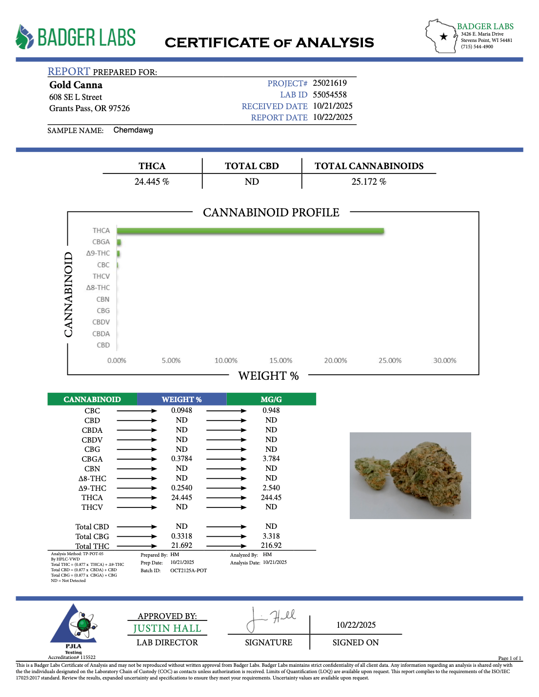 THCA Flower: Chemdawg | Sungrown Gold Nuggets