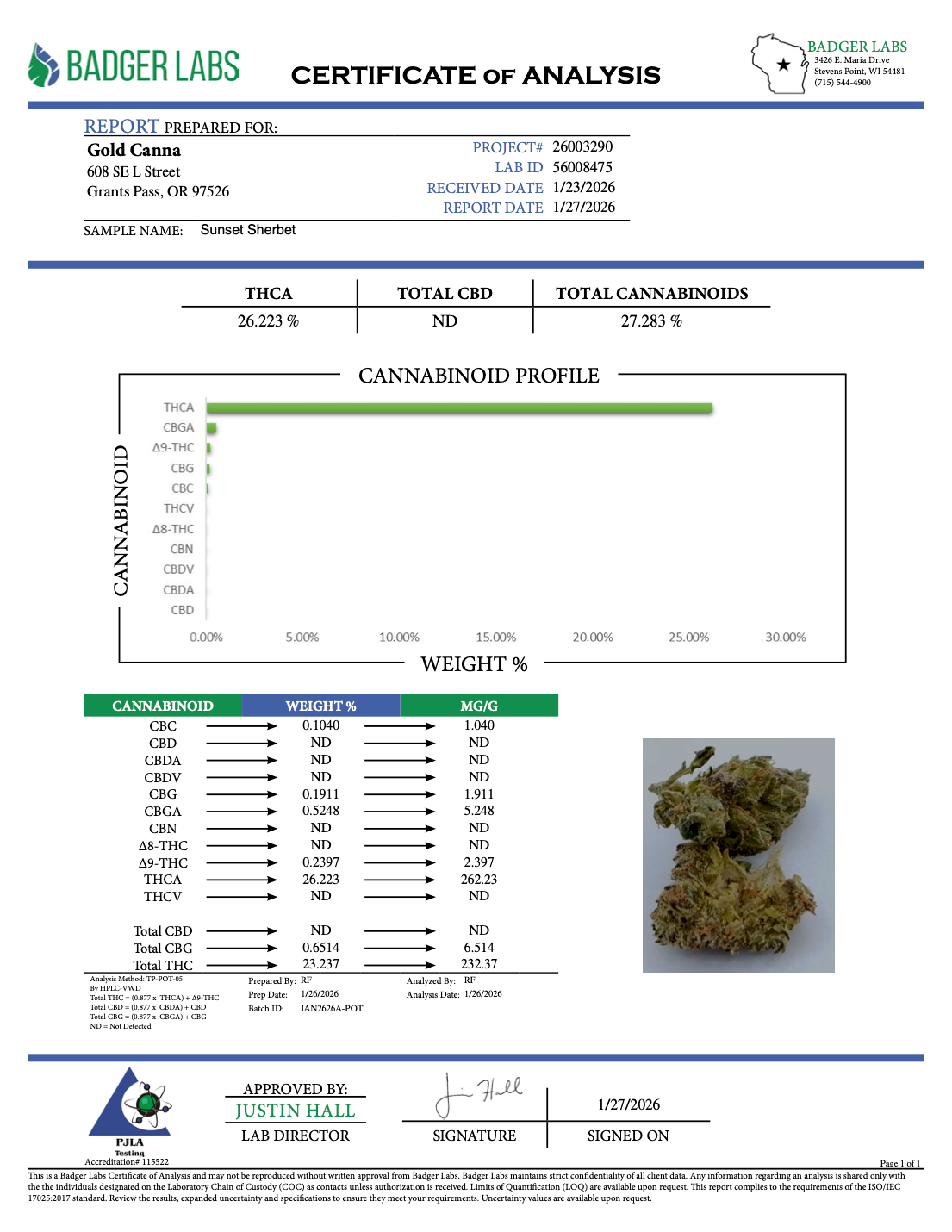 THCA Flower: Sunset Sherbet | Greenhouse Gold Nuggets