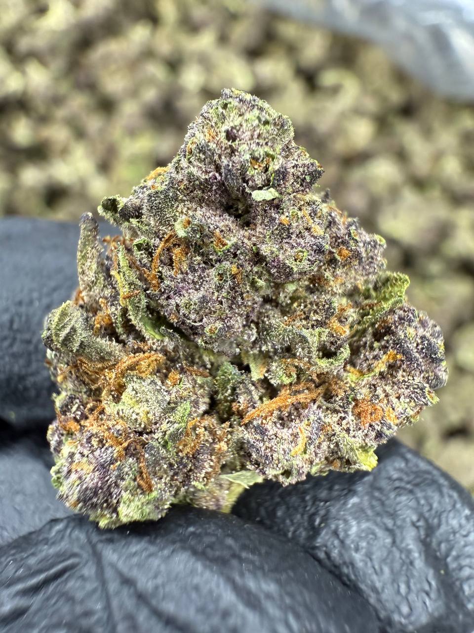 THCA Flower: Tropicana Cherry | Gold Nuggets