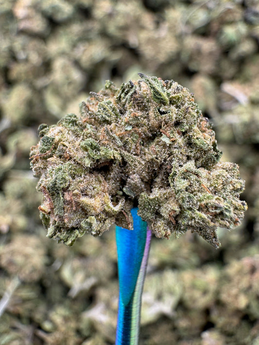 AK-47 - THCA Flower - Sungrown Gold Nuggets