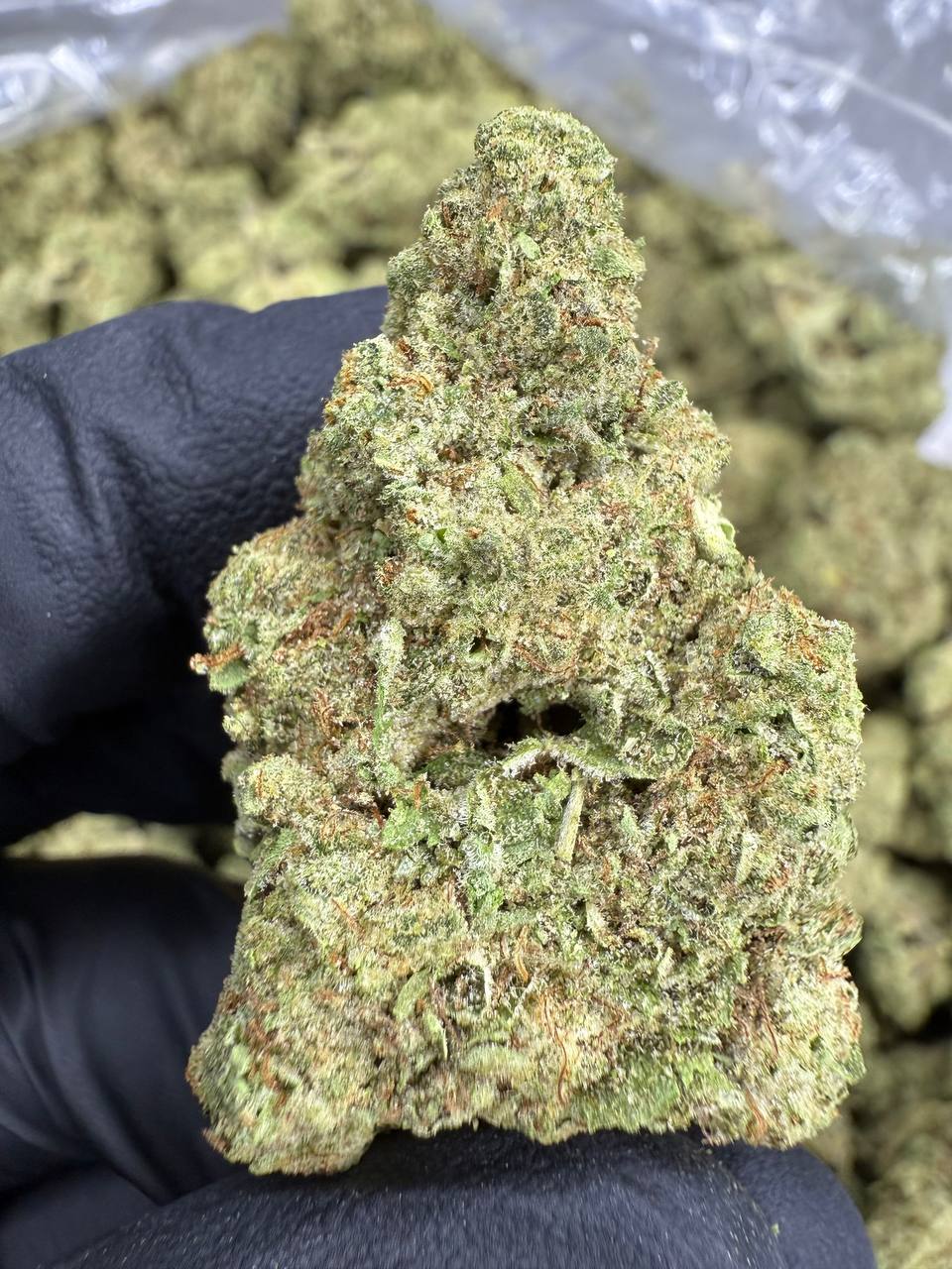 THCA Flower: Animal Face | Greenhouse Top Cut