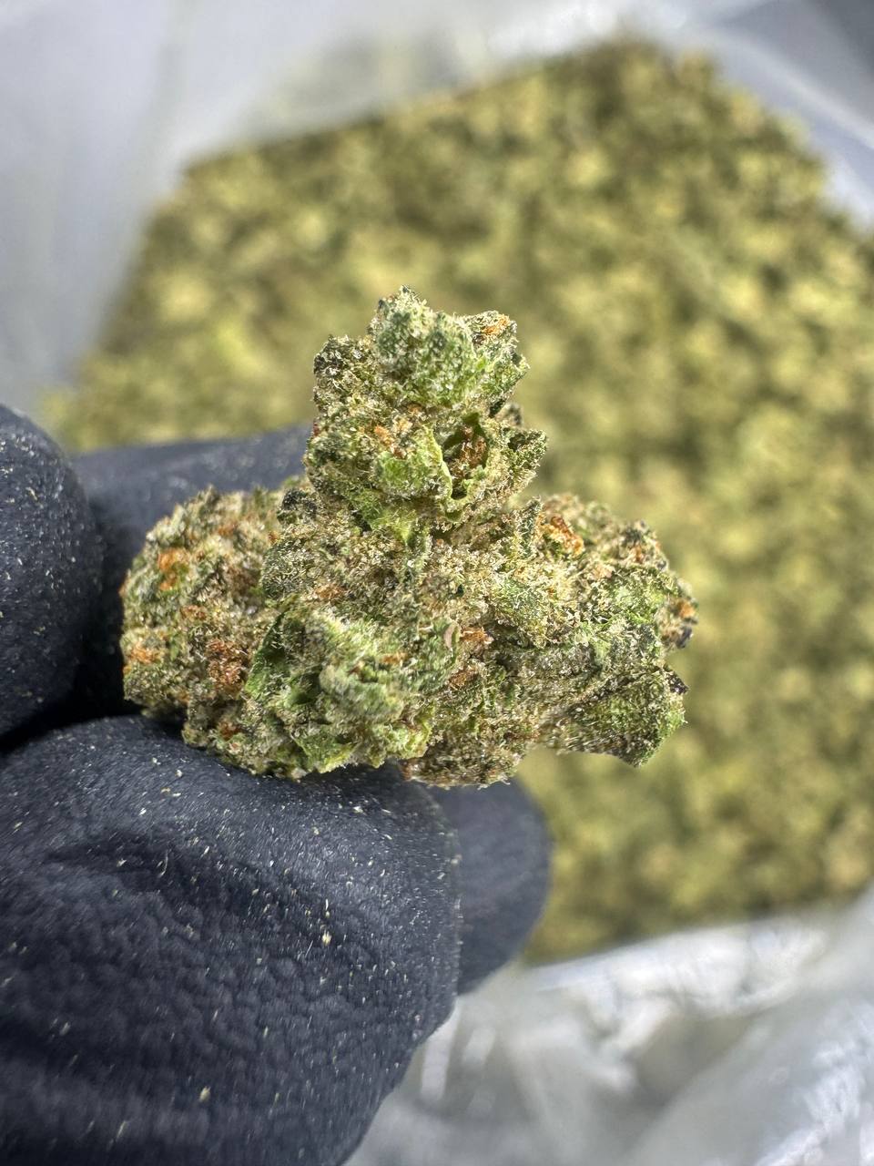 THCA Flower: Animal Face | Greenhouse Gold Nuggets
