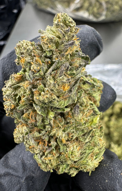 THCA Flower: Apple Fritter | Sungrown Top Cut