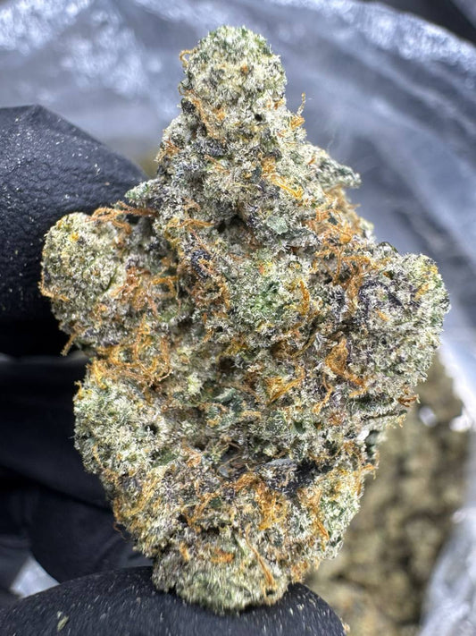 THCA Flower: Apple Scotti | Indoor Top Cut Exotic
