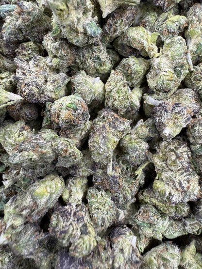 THCA Flower: Bacio Gelato | Indoor Gold Nuggets Exotic