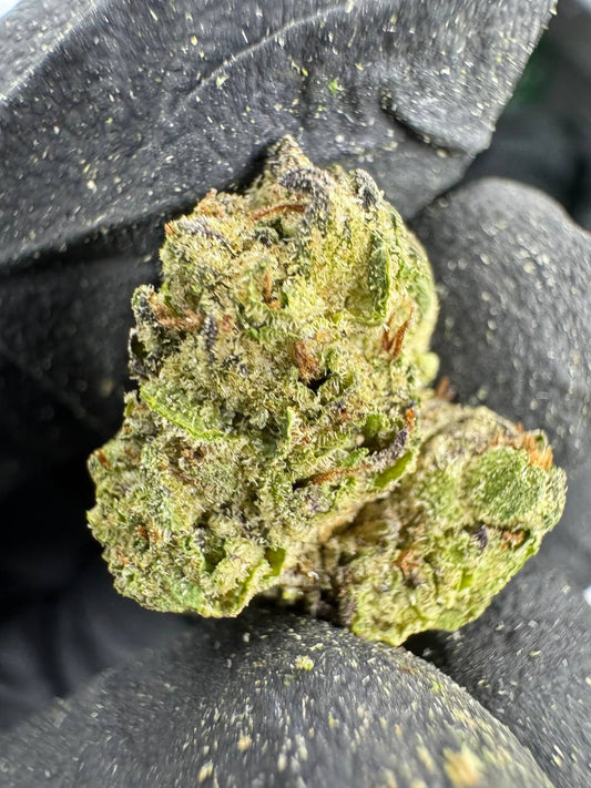 THCA Flower: Black Runtz | Greenhouse Gold Nuggets