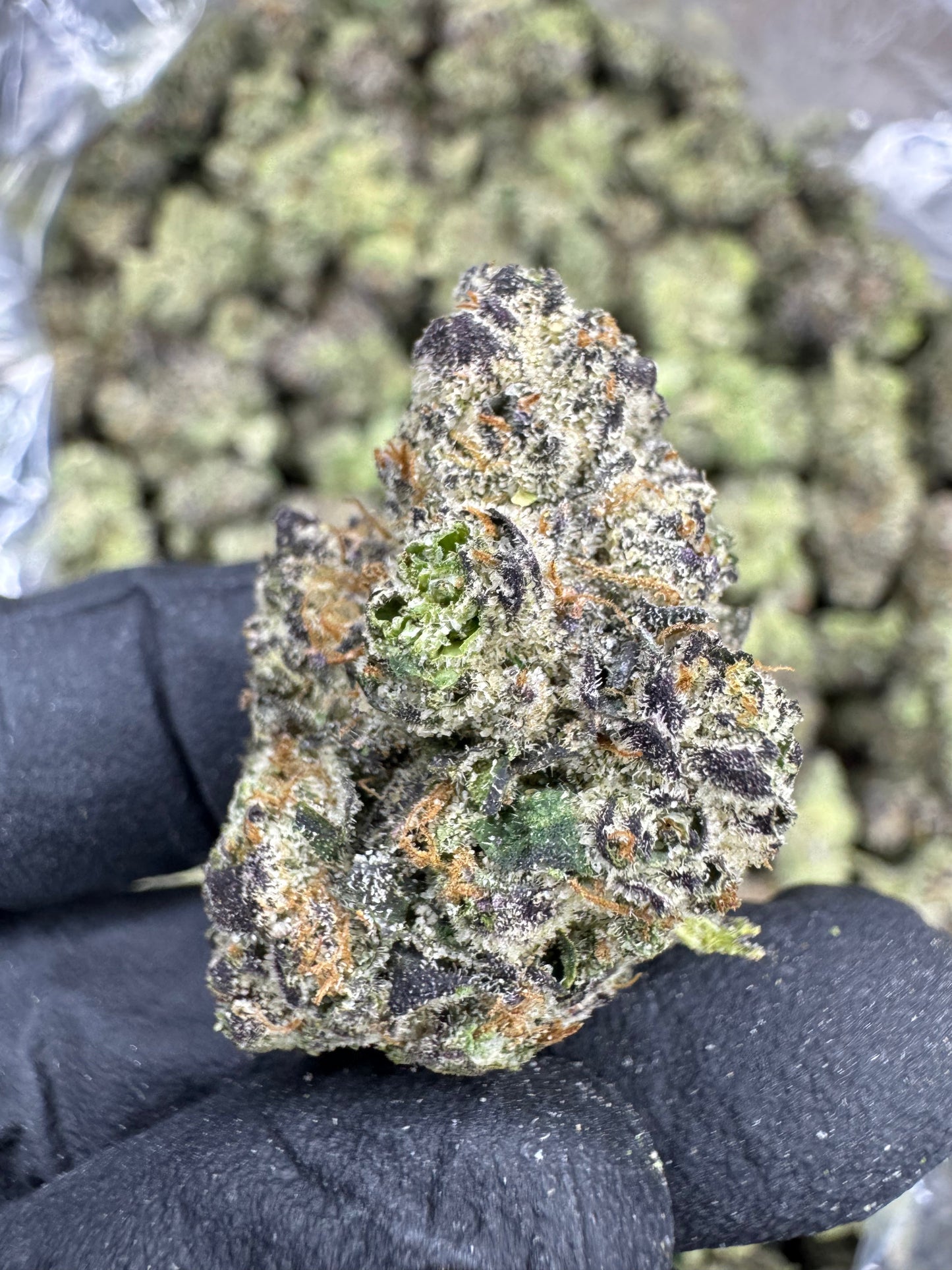 THCA Flower: Blue Andeze | Indoor Top Cut Exotic