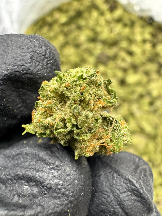 THCA Flower: Blue Dream | Greenhouse Gold Nuggets