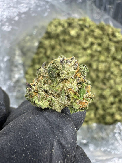 THCA Flower: Blue Dream | Sungrown Gold Nuggets