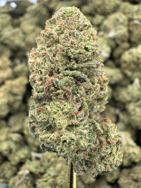 THCA Flower: Blue Dream | Greenhouse Top Cut