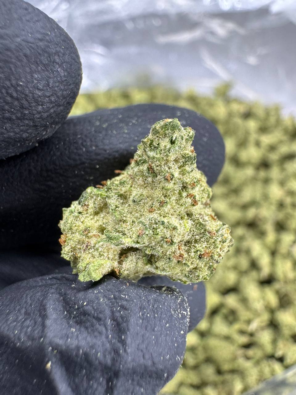THCA Flower: Blueberry Muffin | Greenhouse Gold Nuggets