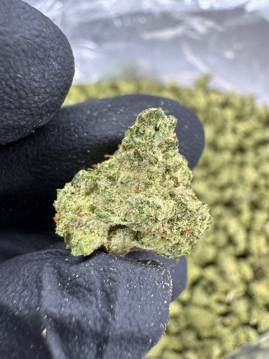 THCA Flower: Blueberry Muffin | Greenhouse Gold Nuggets