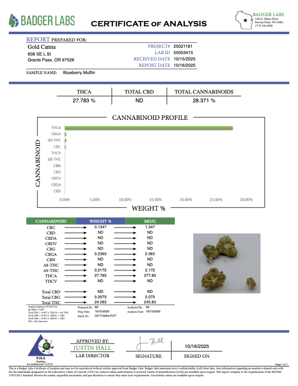 THCA Flower: Blueberry Muffin | Greenhouse Gold Nuggets