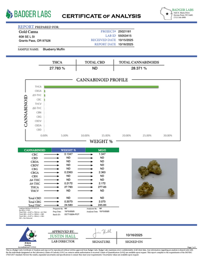 THCA Flower: Blueberry Muffin | Greenhouse Gold Nuggets