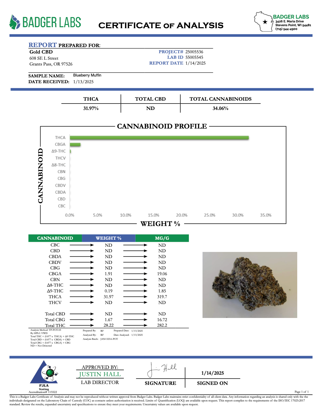 THCA Flower: Blueberry Muffin | Greenhouse Top Cut