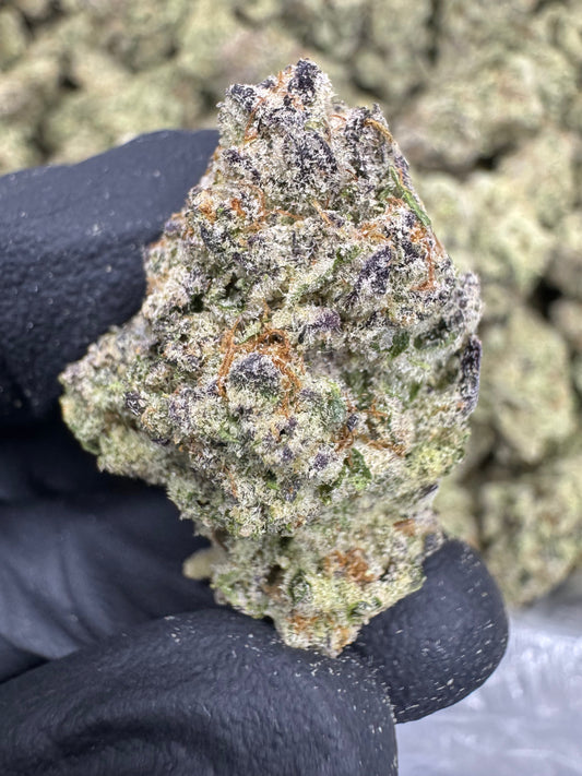 THCA Flower: Blueberry Muffin | Indoor Top Cut Exotic