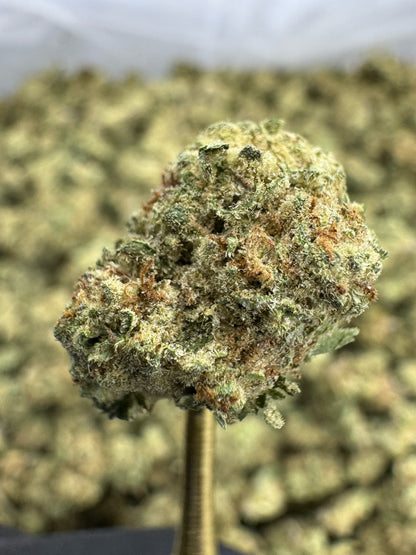 Blueberry Muffin | Indoor Gold Nuggets