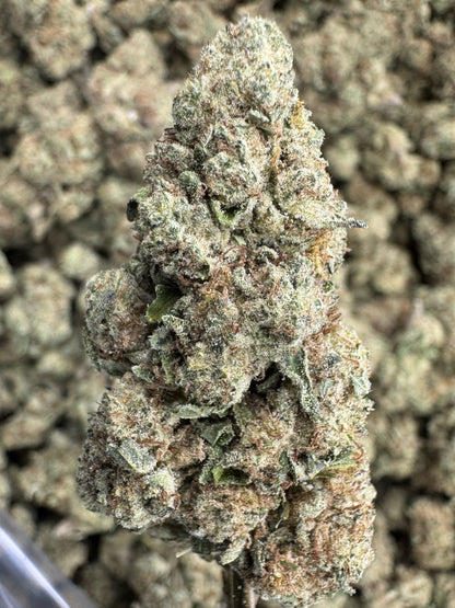 THCA Flower: Blueberry Muffin | Indoor Top Cut