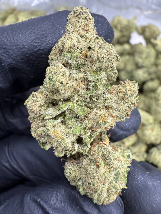 THCA Flower: Blueberry Muffin | Greenhouse Top Cut