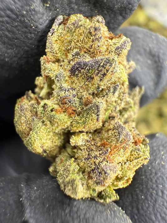 THCA Flower: Cadillac Rainbow | Greenhouse Gold Nuggets