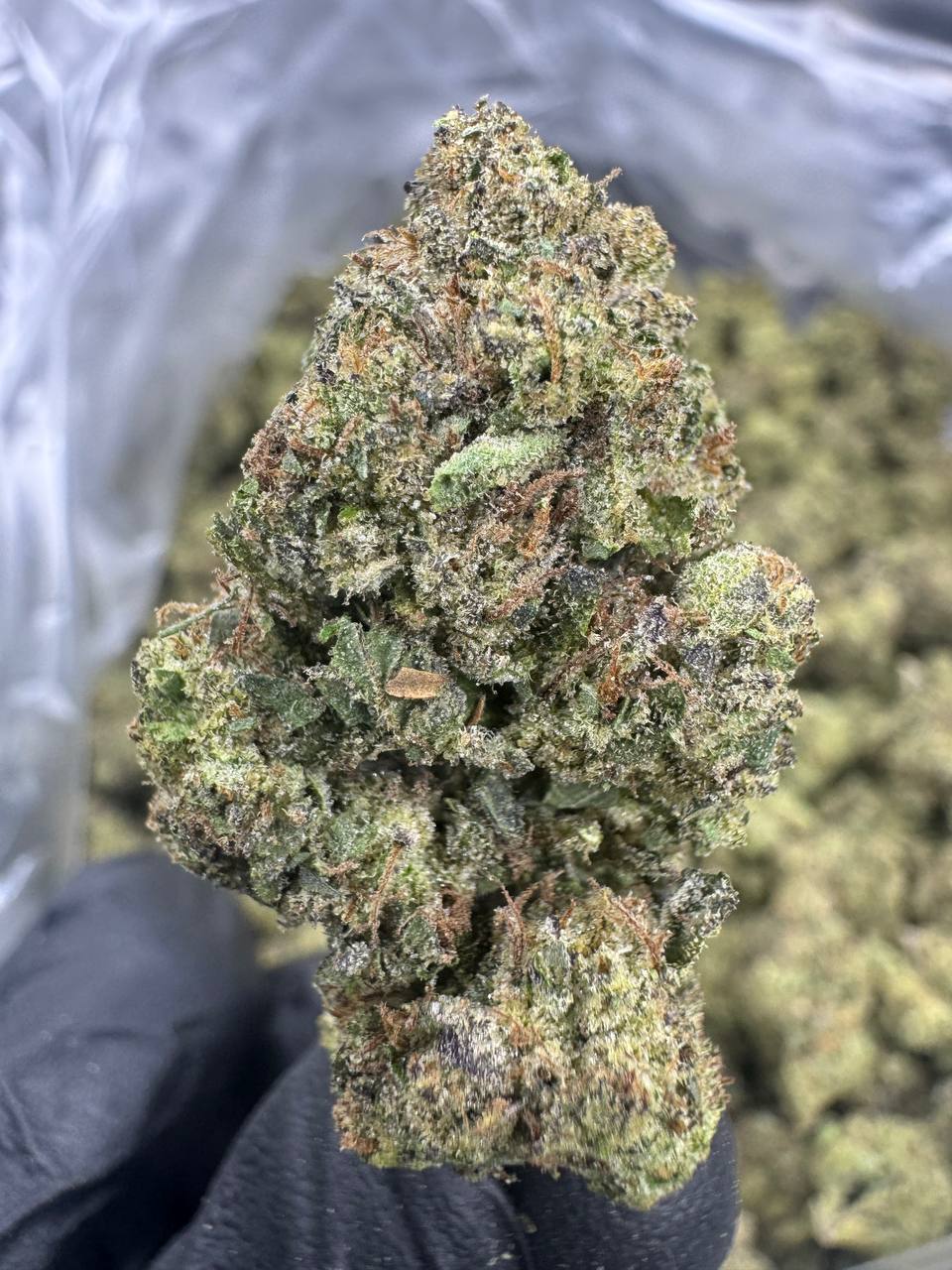 THCA Flower: Candy Runtz | Greenhouse Top Cut