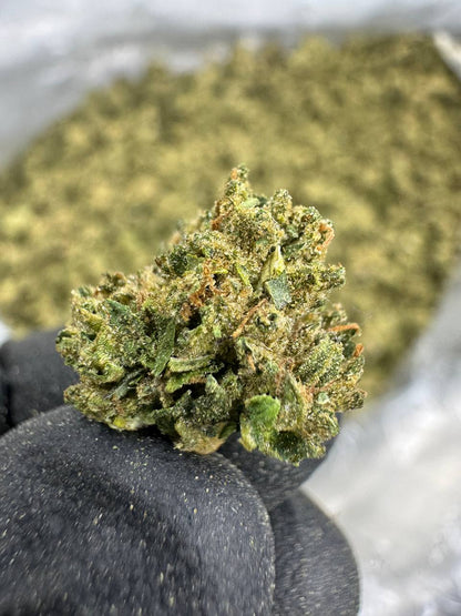 THCA Flower: Candy Runtz | Sungrown Gold Nuggets
