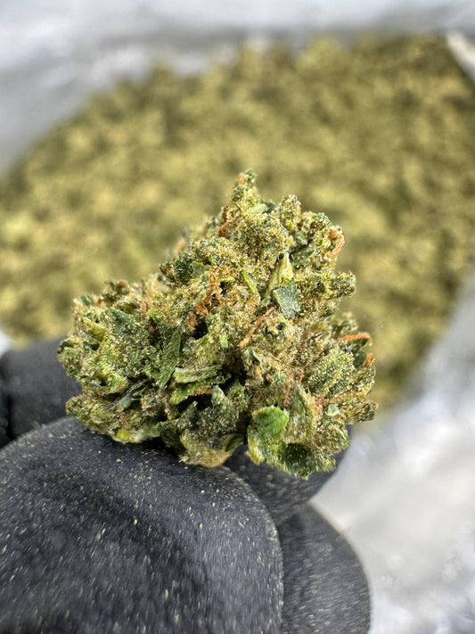 THCA Flower: Candy Runtz | Sungrown Gold Nuggets