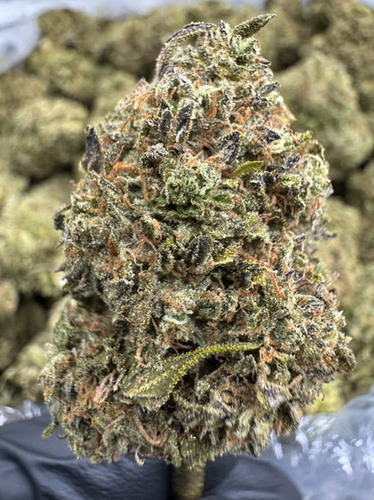 THCA Flower: Cannalope Haze | Sungrown Top Cut