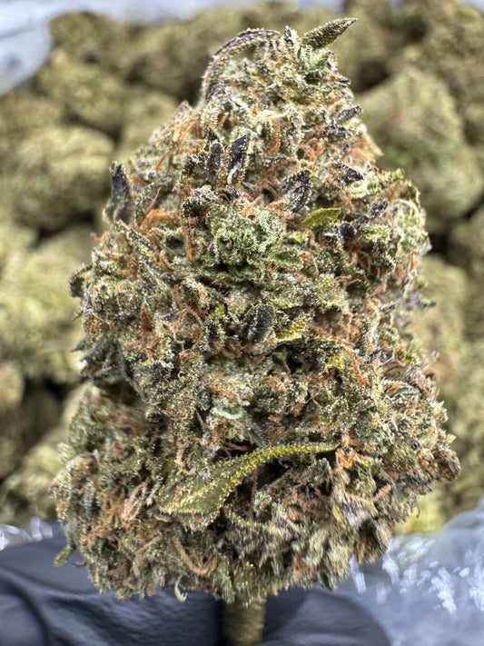 THCA Flower: Cannalope Haze | Sungrown Top Cut