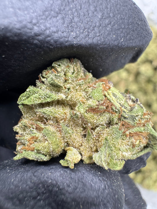 THCA Flower: Cereal Milk | Greenhouse Gold Nuggets