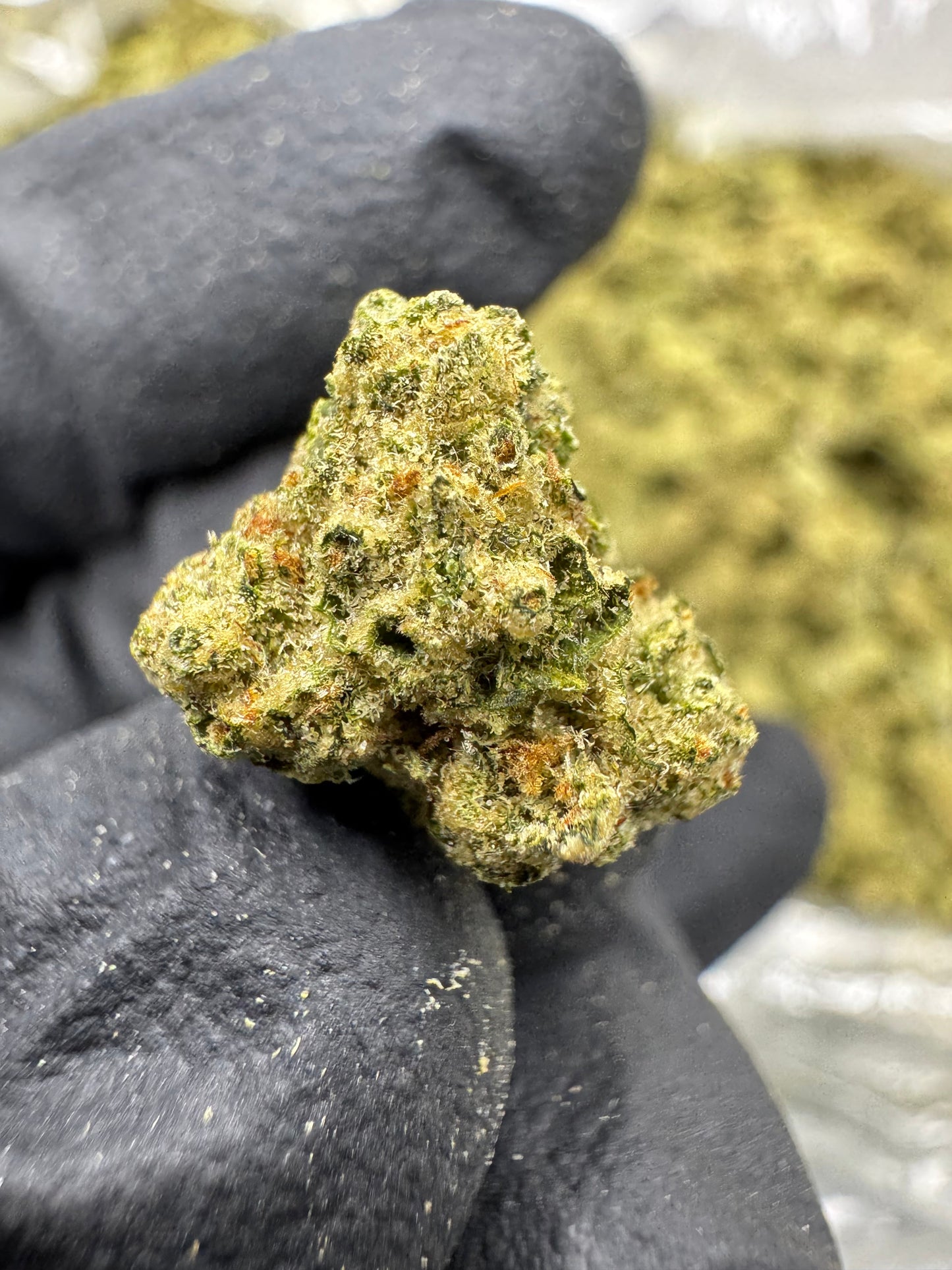 THCA Flower: Cheetah Piss | Greenhouse Gold Nuggets