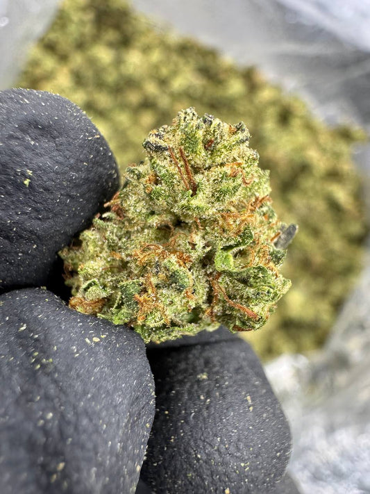 THCA Flower: Chemdawg | Sungrown Gold Nuggets