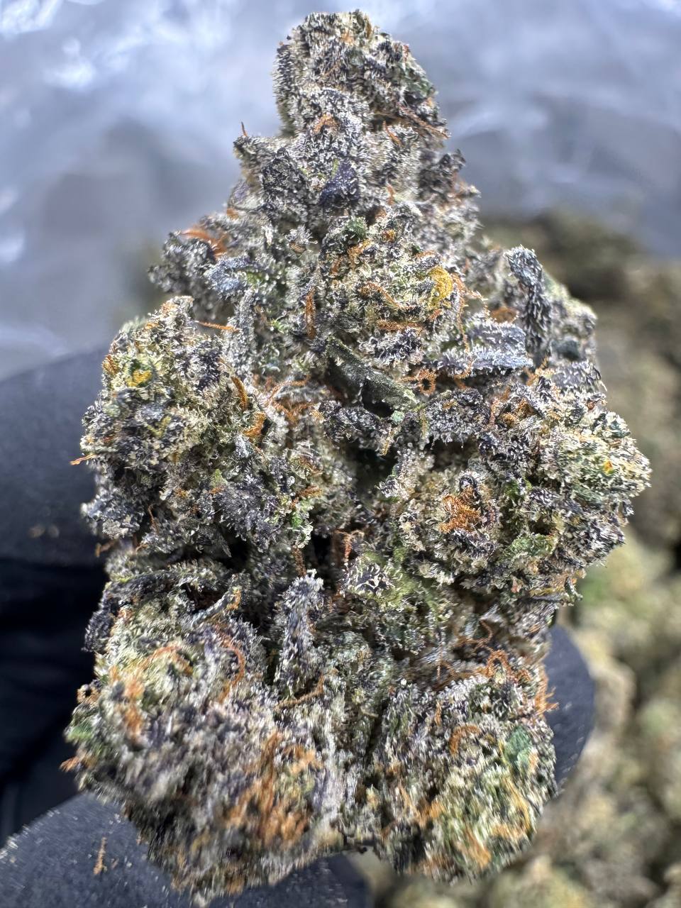 THCA Flower: Cherry Pie Runtz | Indoor Top Cut Exotic
