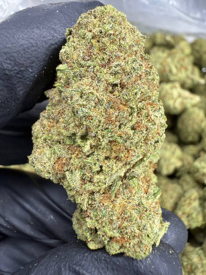 THCA Flower: Cinderella 99 | Greenhouse Top Cut