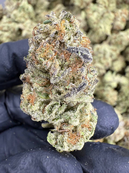 THCA Flower: Cookies and Cream | Sungrown Top Cut