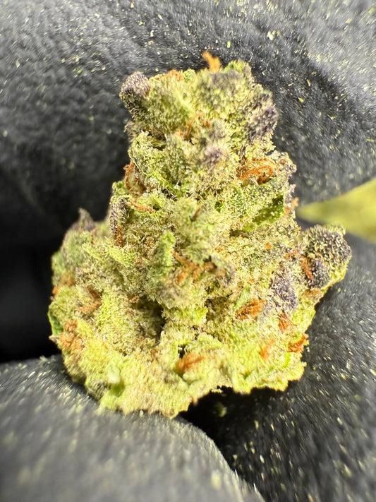 THCA Flower: Cookies and Cream | Greenhouse Gold Nuggets