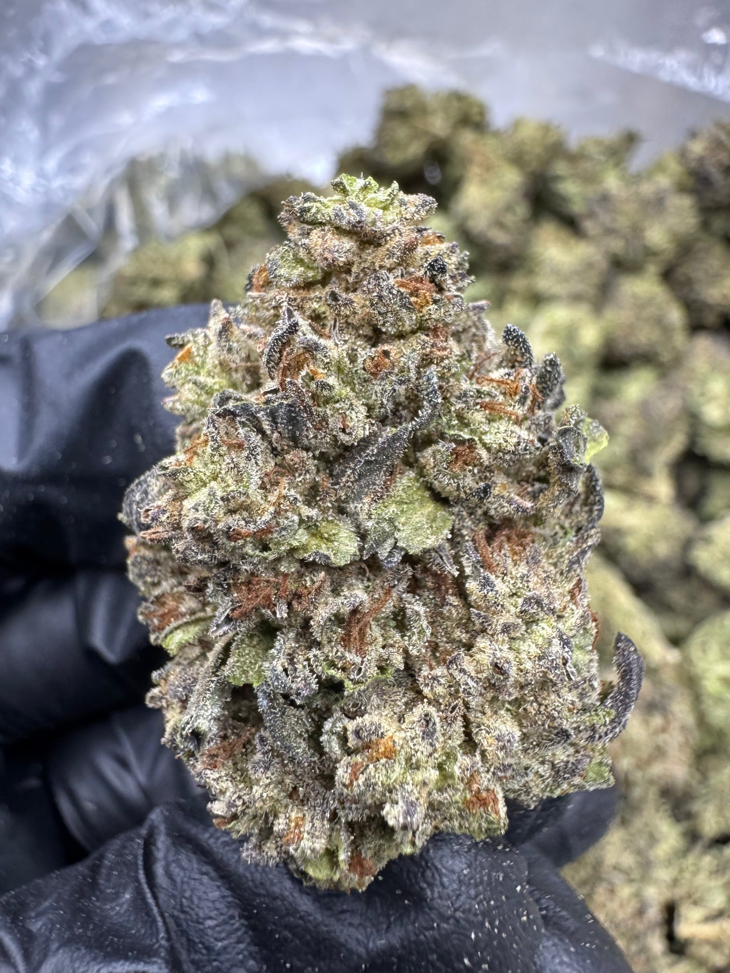 THCA Flower: Cookies and Cream | Greenhouse Top Cut