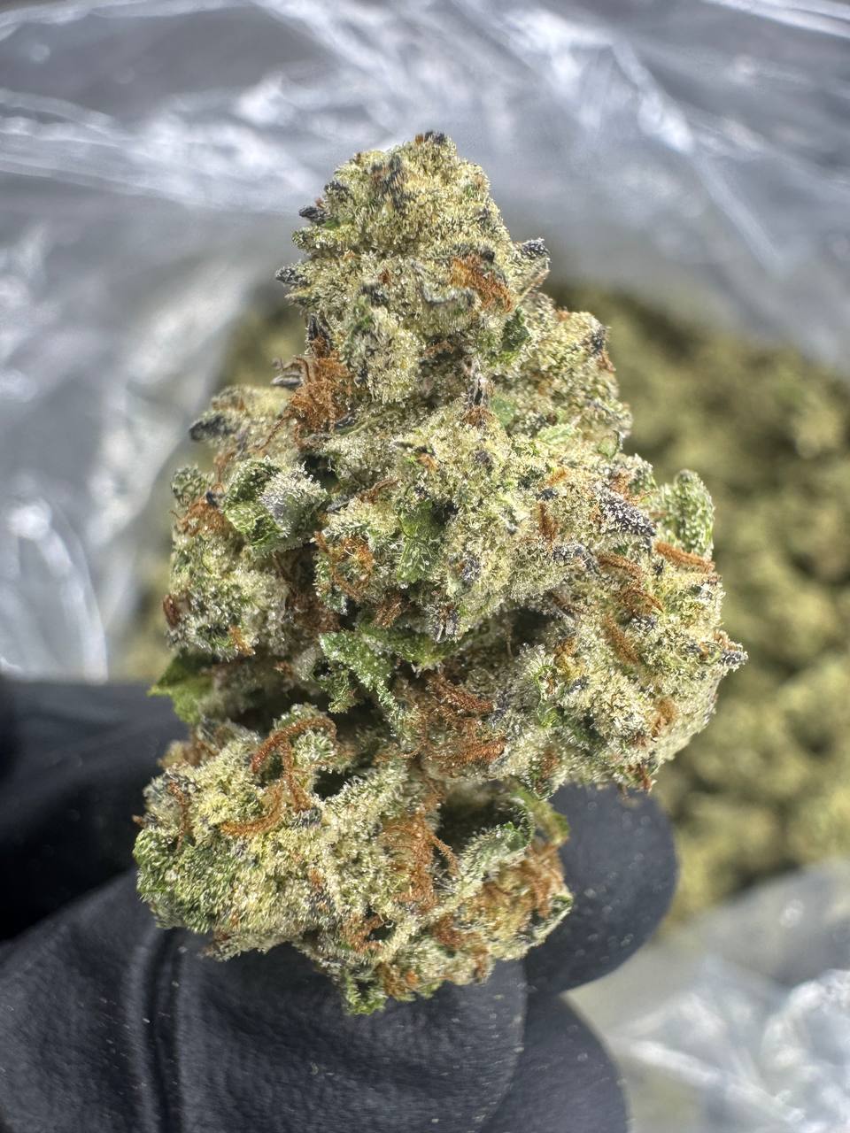 THCA Flower: Durban Poison | Sungrown Top Cut