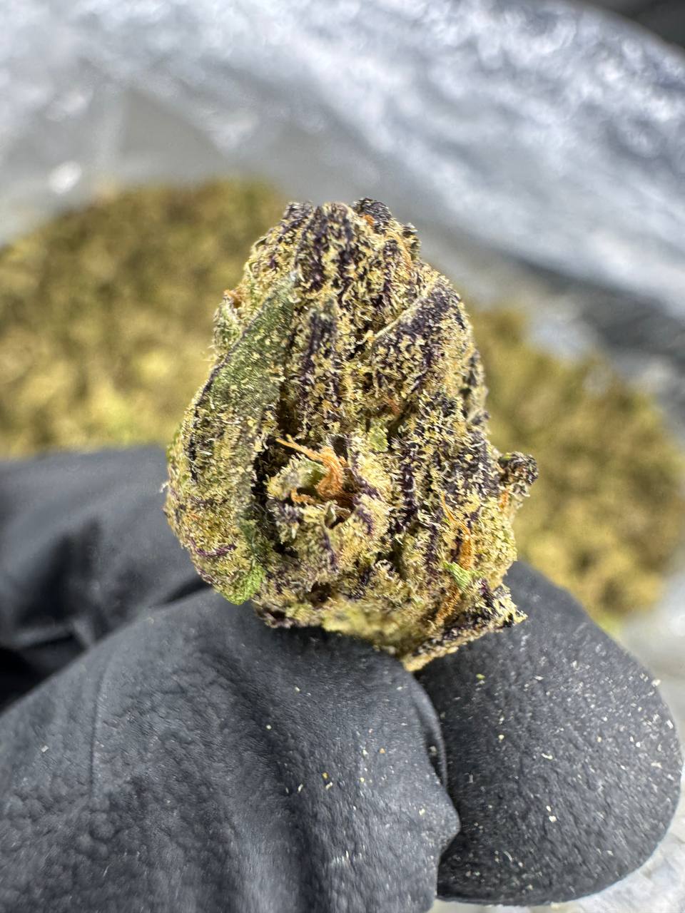 THCA Flower: Durban Poison | Greenhouse Gold Nuggets
