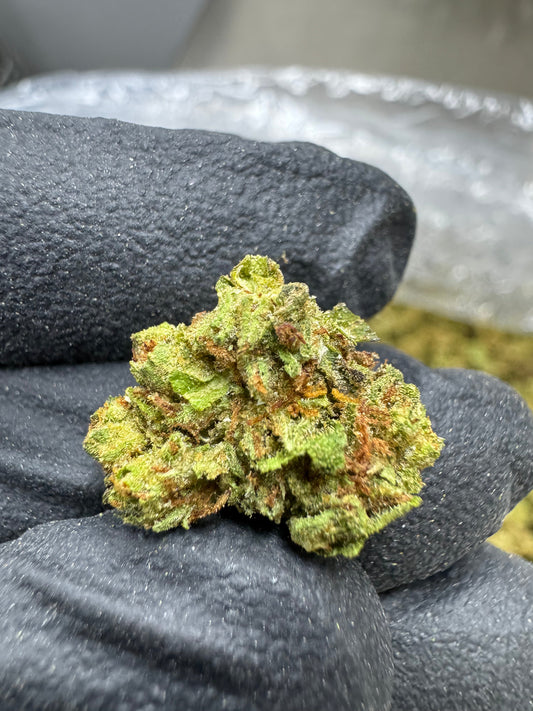 THCA Flower: Frozen Lemons | Greenhouse Gold Nuggets