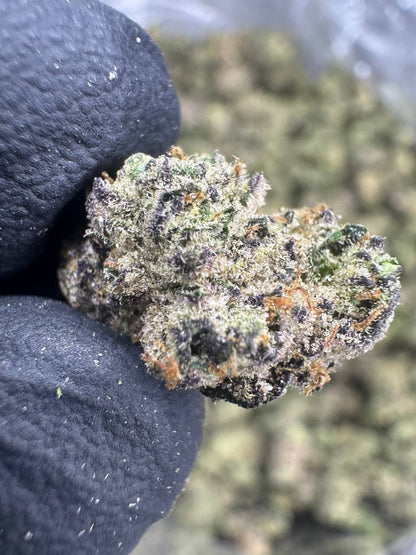 THCA Flower: Funnel Cake | Indoor Gold Nuggets Exotic