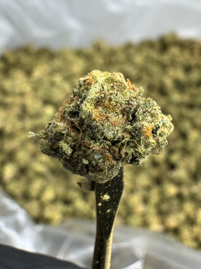 THCA Flower: Gas Face | Sungrown Gold Nuggets