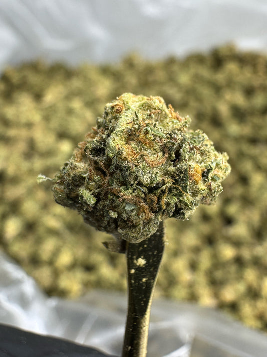 THCA Flower: Gas Face | Sungrown Gold Nuggets