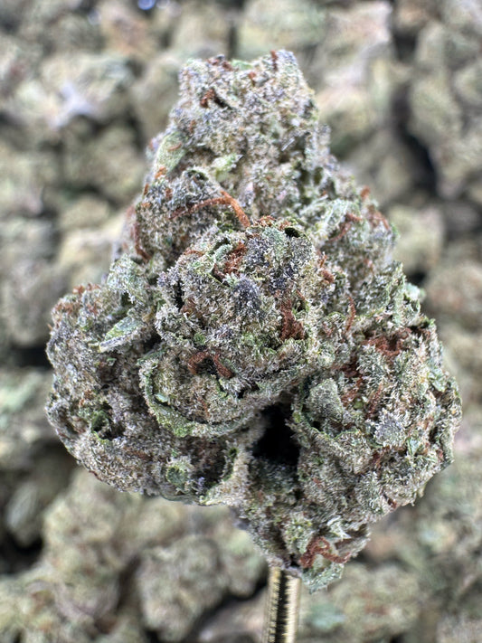 THCA Flower: Gas Face | Sungrown Top Cut