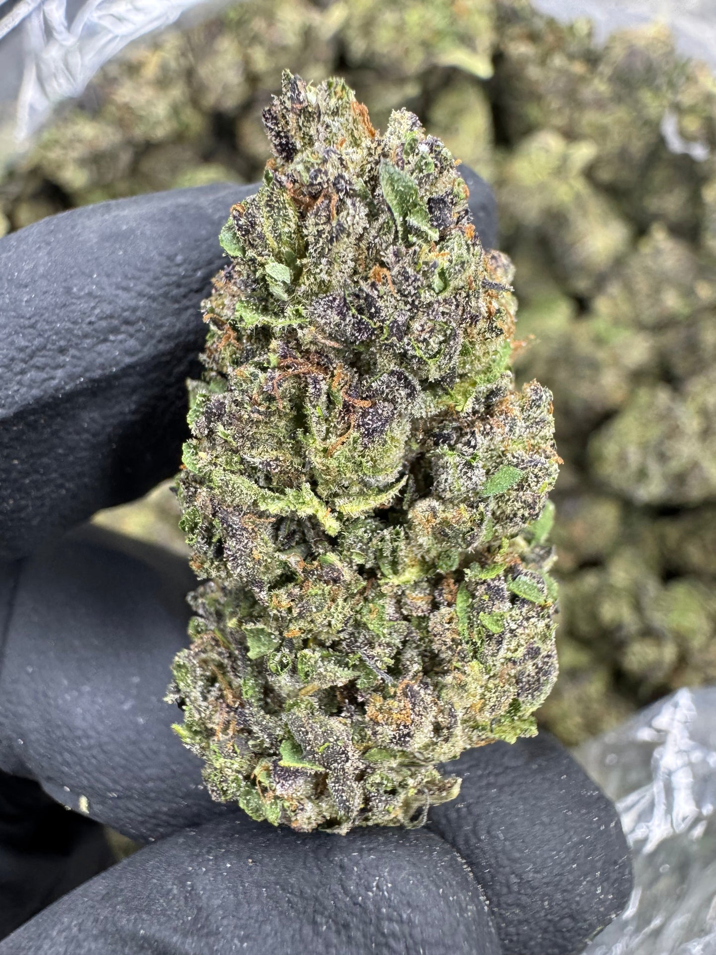 Gelato Cake - THCA Flower - Greenhouse Top Cut