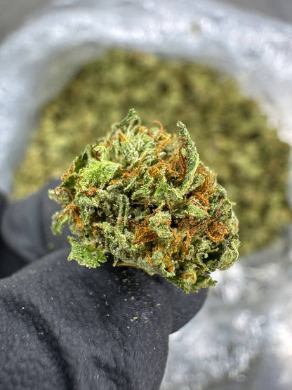 THCA Flower: Gelato 41 | Sungrown Gold Nuggets