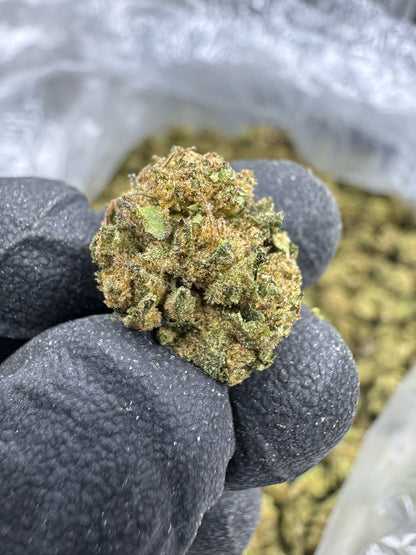 THCA Flower: Gelato King | Greenhouse Gold Nuggets